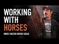 Horse Shelter Heroes | S2E40 | Full Episode