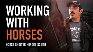 Horse Shelter Heroes | S2E40 | Full Episode