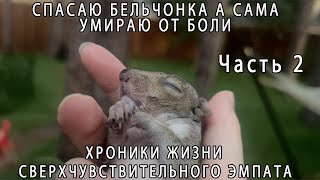 СПАСАЮ БЕЛЬЧОНКА А САМА УМИРАЮ ОТ БОЛИ