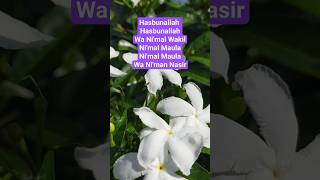 Pujian Hasbunallah Wa Ni'mal Wakil #pujianislami#sholawat#amalan#dzikir#istighfar#doa #muhasabahdiri