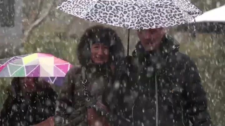 ECB's Lagarde says more rate cuts if inflation eases | REUTERS