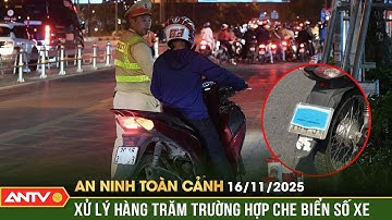 An ninh toàn cảnh ngày 16/11: Xuyên đêm xử lý hàng trăm trường hợp che biển số xe | ANTV