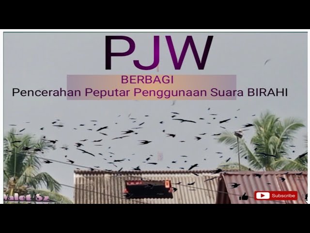 Berbagi Ilmu walet Seputar Penerapan Suara PJW Birahi di LMB class=