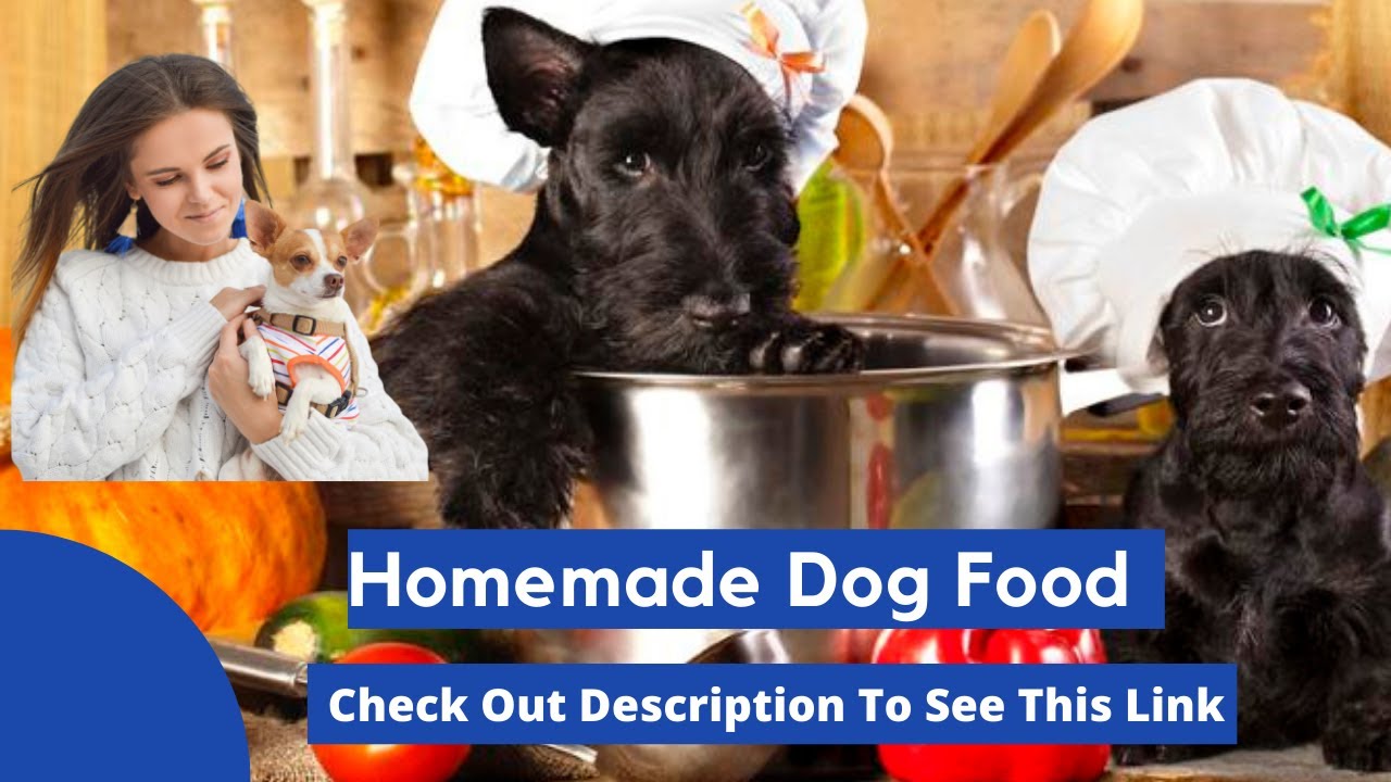 Best Homemade dog food - YouTube