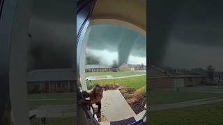 Kasırgadan Kaçan Maymun Yardım