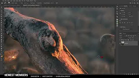 Color Grading with the Camera Raw Editor & Photoshop