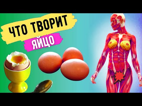 Ела по 2 вареных яйца в день и вот что произошло с моим телом...Что натворили яйца?