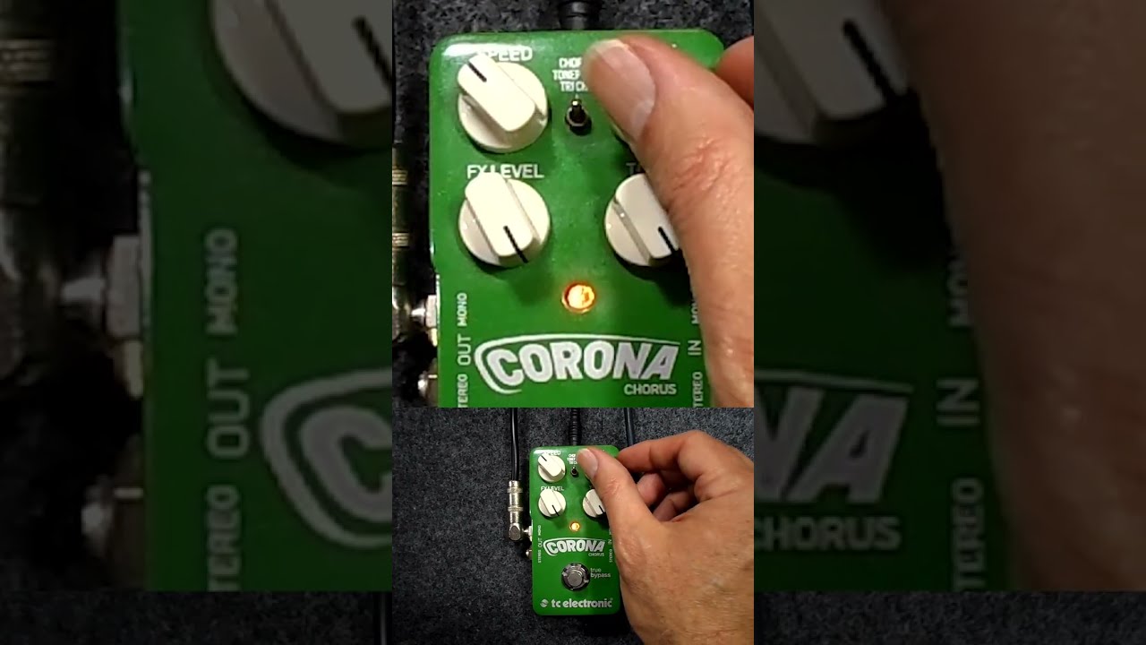 TC ELECTRONIC CORONA CHORUS #shorts - YouTube
