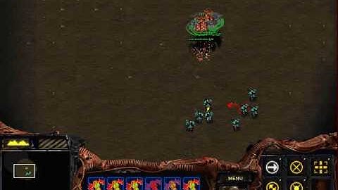 himanAI - mutas va marines