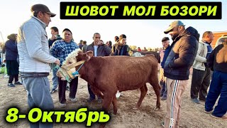 картинка: ХОРАЗМ ШОВОТ МОЛ БОЗОРИ ЁШ ХЎКИЗЛАР НАРХЛАРИ САВДОЛАРИ ШОВОТ 8-октября 2025 г.