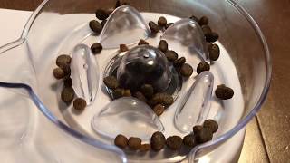 BONちゃんの生活日記⑫ 早食い防止食器との格闘の巻