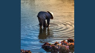 Tides Influence Work Rhythms