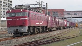 【JR貨物】１０６３レ ＥＤ７６-１０１９
