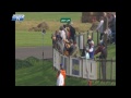Goodwood Revival 2014 - Shelby Cup