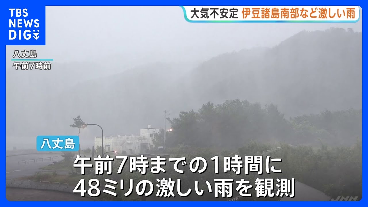 Heavy Rain Hits Southern Tokyo and Izu Islands; 48mm Recorded in