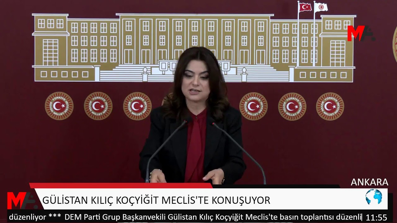 GÜLİSTAN KILIÇ KOÇYİĞİT MECLİS'TE KONUŞUYOR