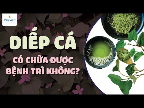 Video: Làm thế nào để diệt ghẻ: Các biện pháp khắc phục tại nhà có thể giúp ích?