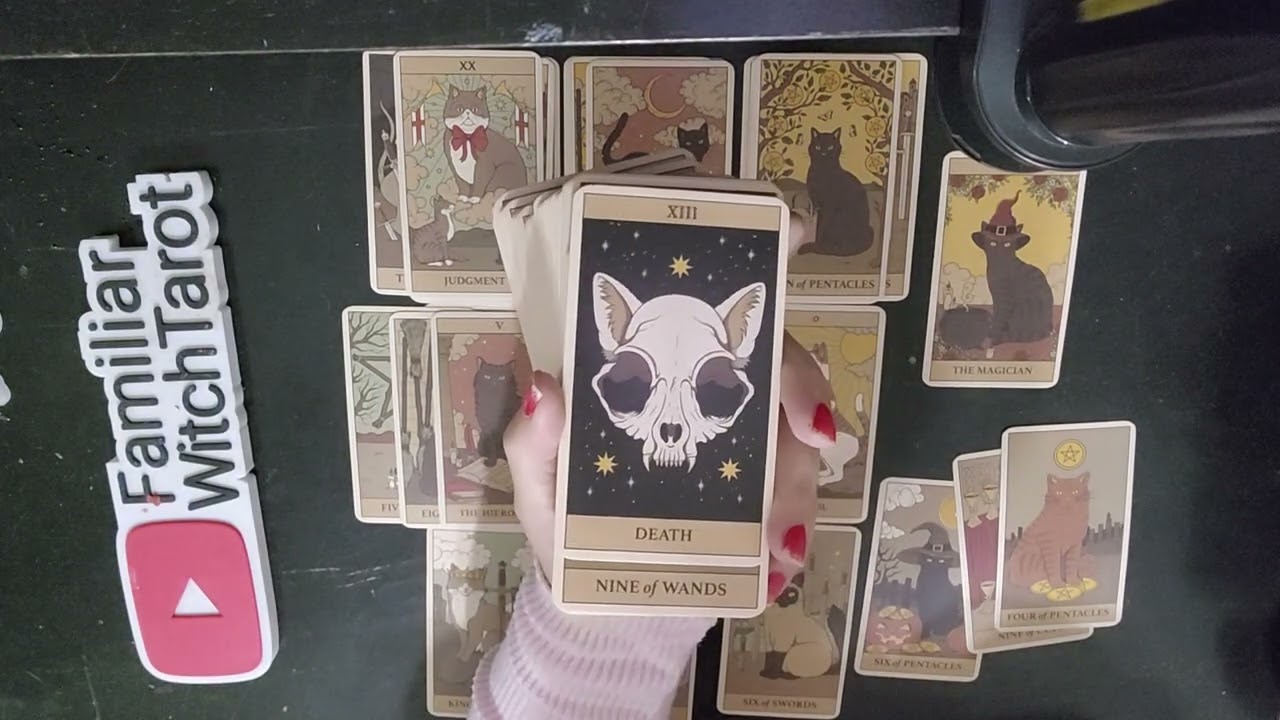 PISCES ❤️ This is a dream come true,  you don't need to keep worrying !