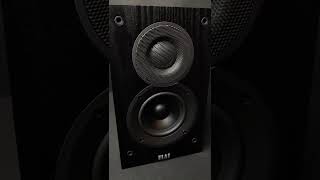 Replacement for the Pioneer BS22LRs?