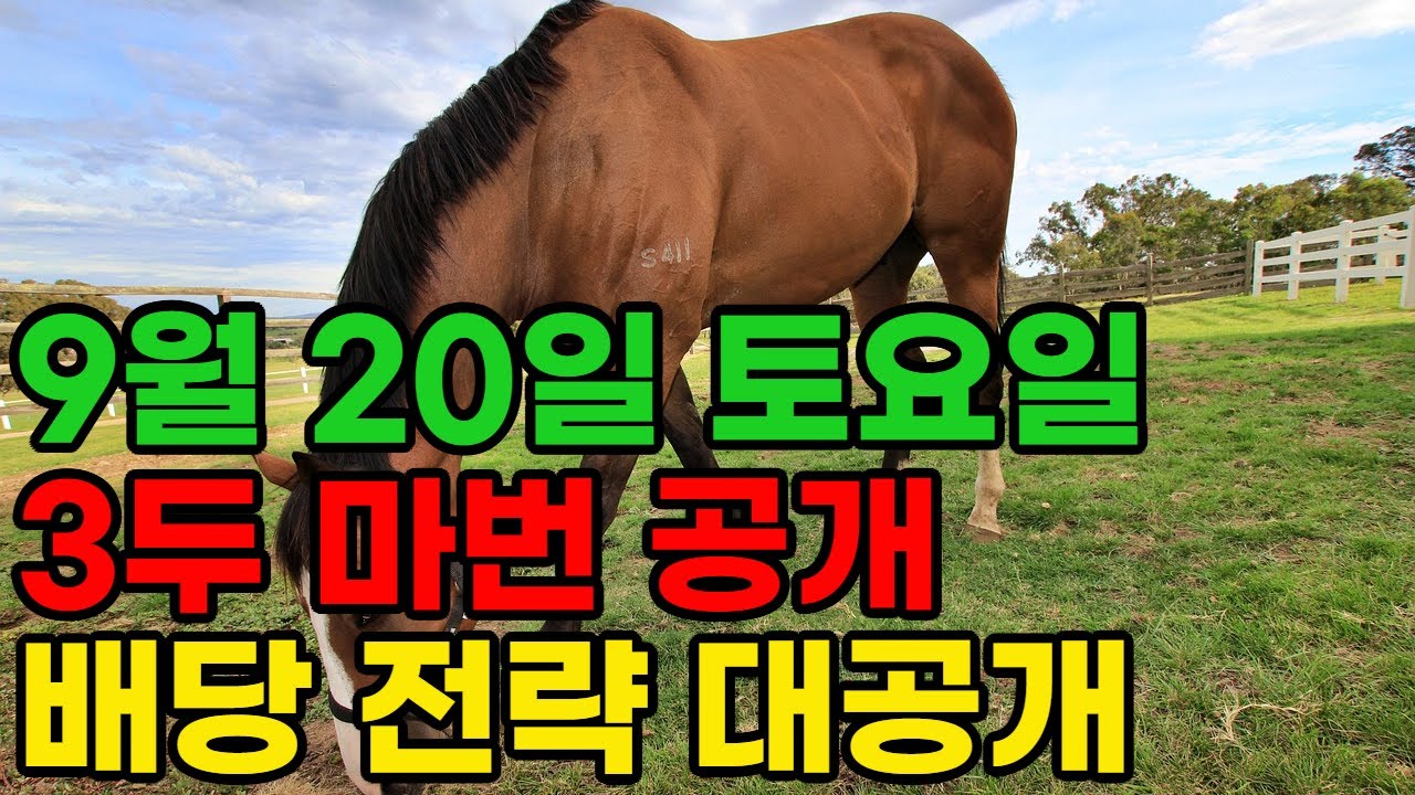 9월 20일 토요일 경마~꾸준함이 만든 자신감, 이번에 터진다!ㅣ승전경마 전문가의 이변 포착” l 경마 l 경마정보 l 경마예상 l 코리아레이스 l 검빛경마