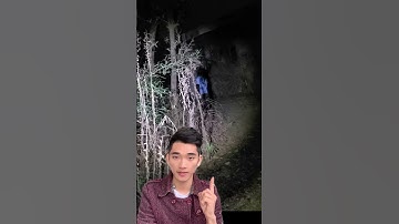 Đi đêm cứ ngỡ gặp ma và sự thật