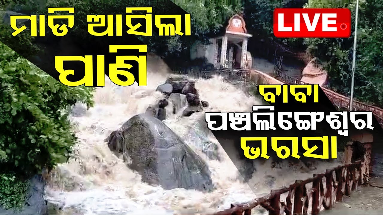 LIVE | ମାଡ଼ି ଆସିଲା ପାଣି ! | Heavy Rain | Odisha