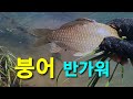 차탄천 아직도 물이 많아요