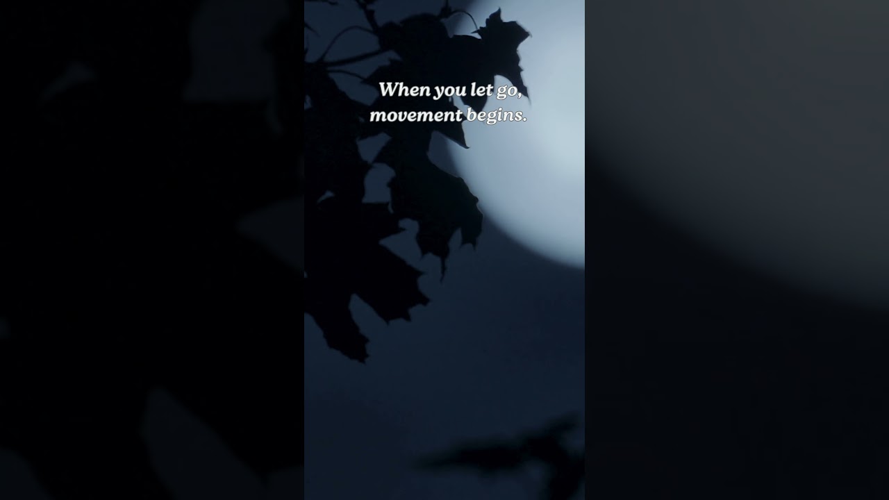 When you let go, everything moves