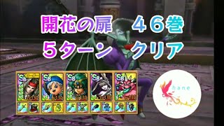 【ドラクエタクト】 開花の扉　４６巻　５ターン　クリア