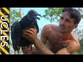 How to Catch a Vulture - with Andrew Ucles