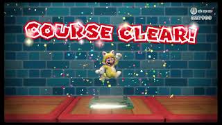 Super Mario 3D World: 1-M Mystery House Melee