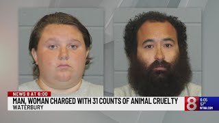 Waterbury couple charged with 31 counts of animal cruelty after dead animals found in trailer, bus
