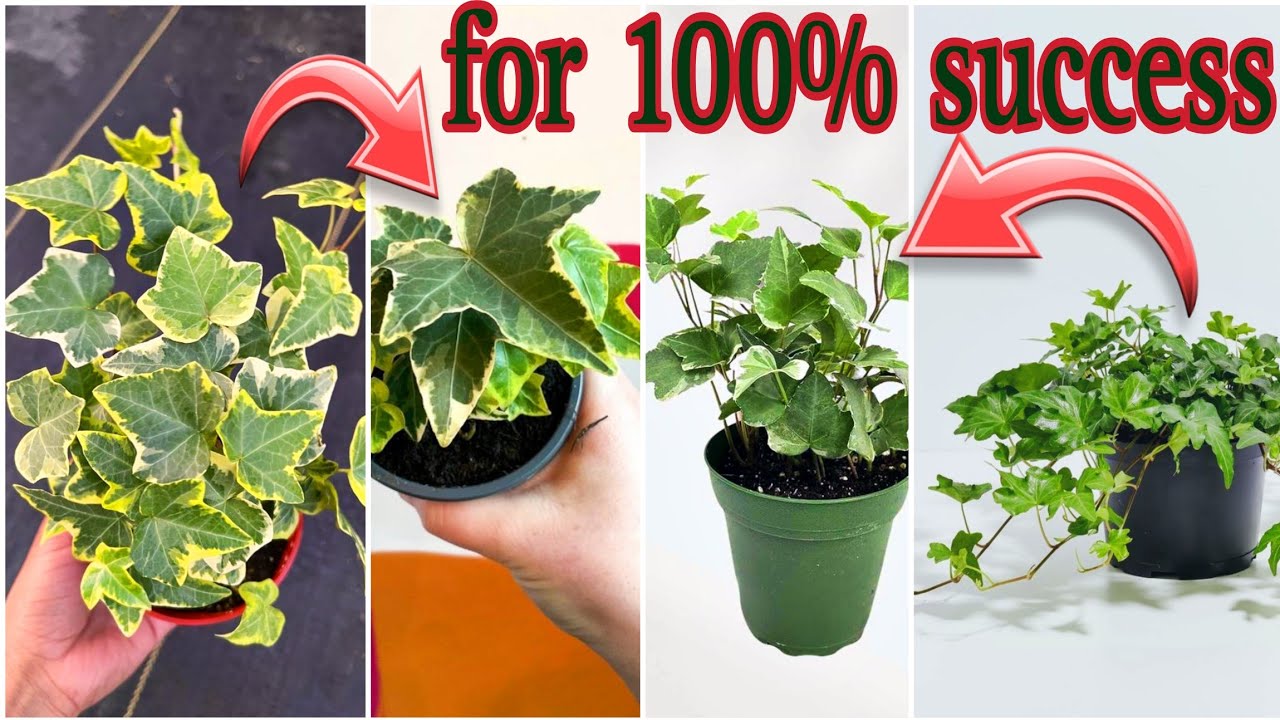 The Propagation Hack Everyone Should Know