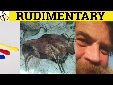 🔵 Rudimentary Rudiments- Rudimentary Meaning - Rudiments Examples - Rudimentary Definition