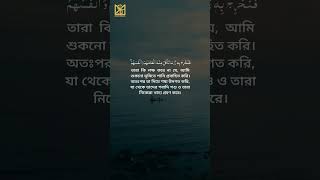 Surah As-Sajdah || Part-12 || #quran #gaziismail #palestine #islam #shorts #quranrecitation #viral