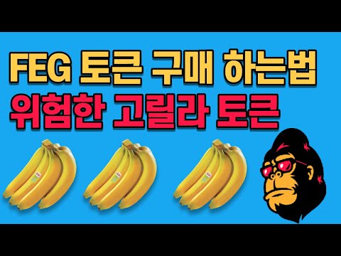   개잡주 코인 종목 FEG 고릴라 토큰 구매법