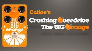 THE BIG ORANGE/オーバードライブ/CP-54 Amazon.com: Caline Electric Crushing Overdrive Multi