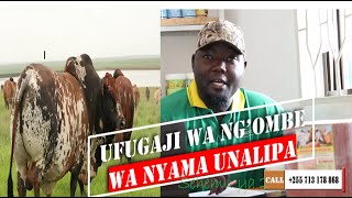 UFUGAJI WA NG'OMBE WA NYAMA KIBIASHARA:mbegu bora na unenepeshaji wa ng'ombe wa nyama.