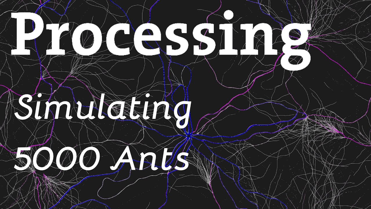 Simple Ant Simulation - 5000 Ants - Periodic Boundary Conditions - YouTube