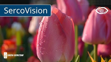 SercoVision-optie: SercoNet