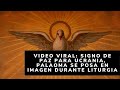 Video Viral: Signo de paz para Ucrania, paloma se posa en imagen durante liturgia