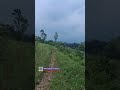 Jalan Dulu Berlalu #hallopujon #hiburansegar #pujontv