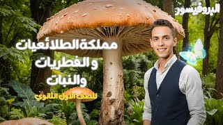 مملكة الطلائعيات و الفطريات و النبات للصف الأول الثانوي | البروفيسور