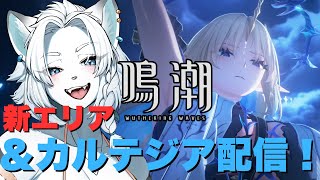 【鳴潮】新エリア＆カルテジア使う配信【ライオVT】