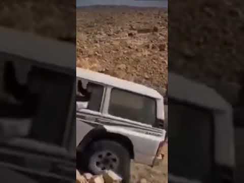 ياسهيل قبل الصبح