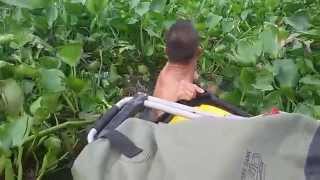 Man Cuts Swath Through Water Plants for Kayak