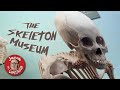 World's Only Skeleton Museum - The Museum of Osteology