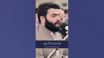 ✨ سورة فصلت الآية 30 بصوت خاشع مؤثر | القارئ بيشه قادر الكردي 🎧