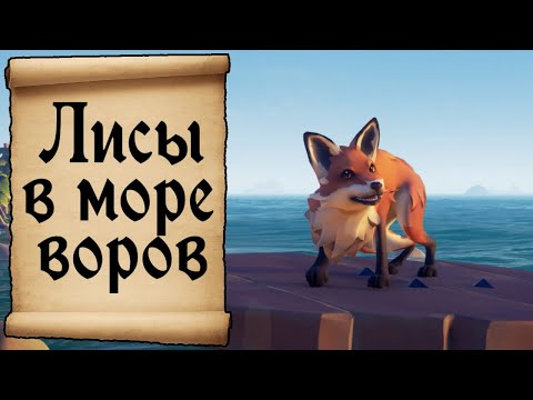 Видео: Лисы и многое другое в Море воров. Sea of thieves