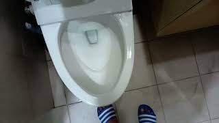 Toto One Piece toilet (With Bidet Seat)